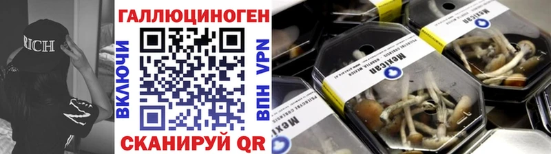 Псилоцибиновые грибы Psilocybe  кракен как войти  Гаджиево 